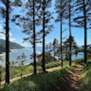 Meet your Posher, Cory